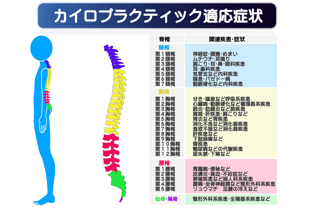 背骨が歪むことによっての影響